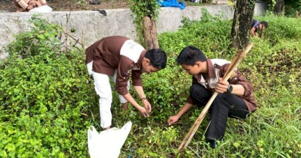 Bikin Sejuk! Komunitas Padupa Turatea Tanam Pohon Tabebuya