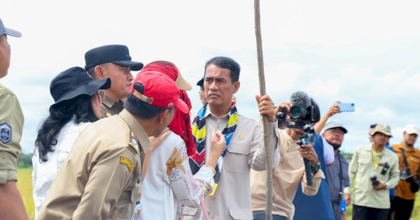 Tegas! Mentan Amran Ultimatum Bulog: Serap Gabah Petani atau Mundur!