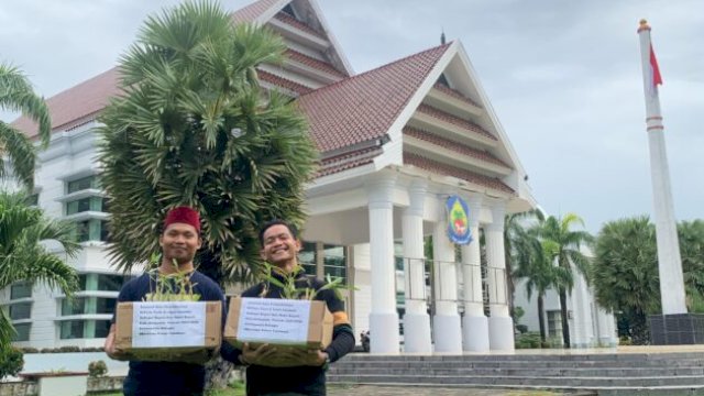 Ayi Palangkey (Ketua Padupa Turatea) dan Fadli (Ketua GPMJ) menyerahkan bibit pohon tabebuya di halaman Kantor Bupati Jeneponto ||handover 