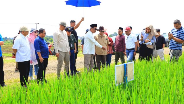 Mentan Amran Sulaiman uji coba teknologi tanam padi di Bogor, Minggu (23/3). Dok. Ist