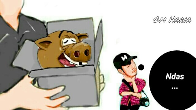 Karikatur paket kepala babi (Dodi/harian.news)