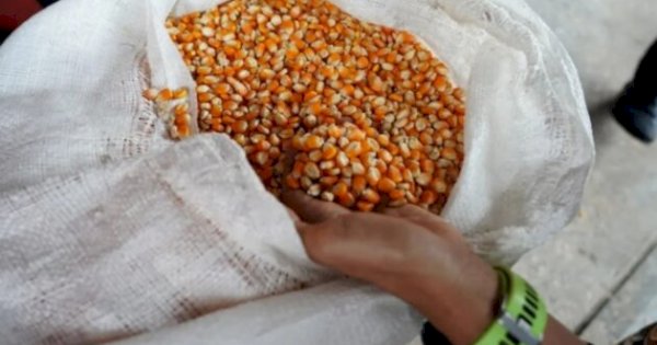 GPMJ Tekan DPRD Jeneponto Segera Terapkan HPP