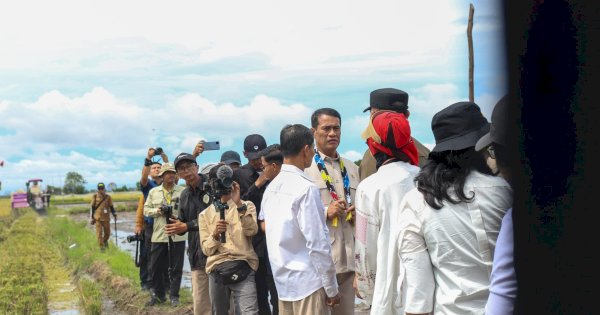 Target Lumbung Pangan Nasional, Mentan Dorong Kalsel Tanam Padi 3 Kali Setahun