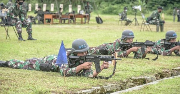 Panja TNI Tegaskan Revisi UU Tidak Kembali ke Era Dwifungsi ABRI
