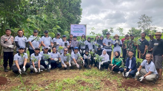 Dukung Keberlanjutan Lingkungan, PT PHC Indonesia Tanam 500 Pohon Alpukat di Desa Pasirbungur