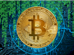 Tren Perkembangan Adopsi Bitcoin di Tahun 2025: Apa yang Perlu Diketahui?