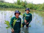 Tanam 1 Juta Pohon, LindungiHutan Targetkan Menanam Pohon Sejumlah Penduduk Indonesia