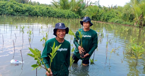 Tanam 1 Juta Pohon, LindungiHutan Targetkan Menanam Pohon Sejumlah Penduduk Indonesia