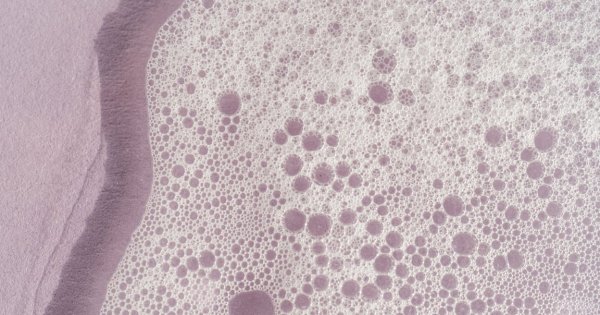 Perbedaan Surfaktan Anionik, Nonionik, Kationik, dan Amfoter serta Aplikasinya