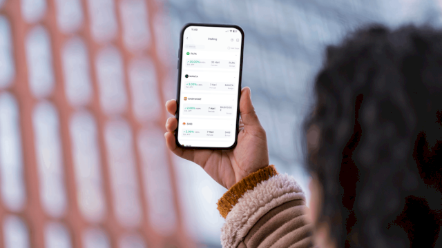Gejolak Pasar Aset Digital Indonesia, Tantangan Besar bagi Investor