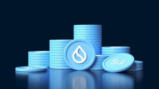 Meme Coin di Jaringan SUI Trending, Ini 5 Proyek yang Wajib Dipantau!