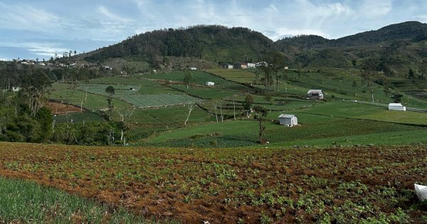 Jaringan IM3 Andal Saat Mudik Lebaran: Tak Khawatir Sinyal Lemot