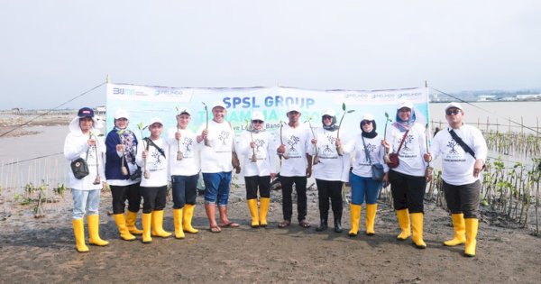 Wujudkan Dekarbonisasi, Pelindo Solusi Logistik Tanam Mangrove dan Penghijauan