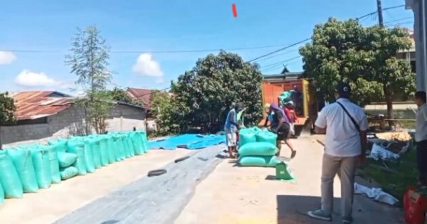 GPMJ Kawal Petani Hingga Bulog Serap Jagung Sesuai Harga Pemerintah