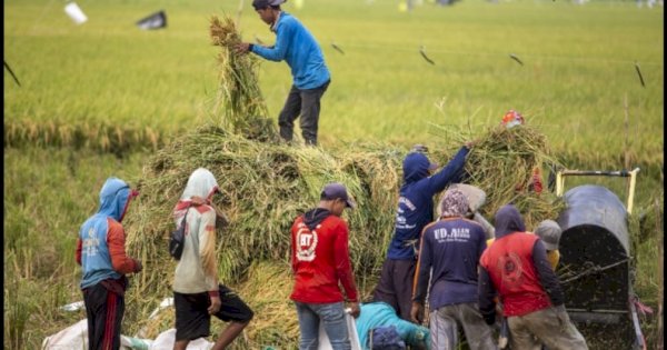 Pangan Indonesia Melejit, Thailand Hadapi Kenyataan Pahit
