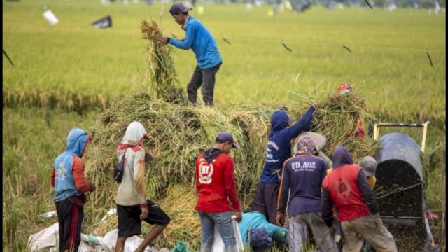 Pertanian Indonesia. Dok. Kabarika