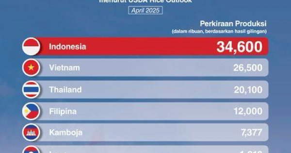 Departemen Pertanian Amerika Serikat Ramalkan Produksi Beras Indonesia Tertinggi di ASEAN