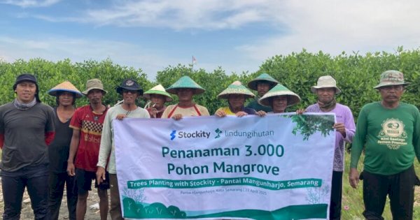 Cegah Abrasi, Stockity Tanam 3.000 Mangrove di Pesisir Semarang