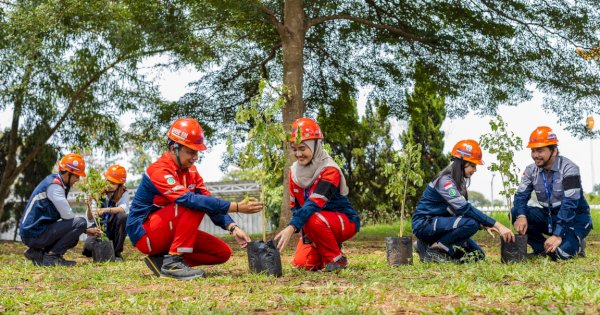 Lanjutkan Penghijauan, WSBP Inspiring Kindness: Piles of Sustainability  Tanam Lagi 348 Pohon Trembesi