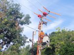 Pasukan Khusus PLN UID Sulselrabar Tangani 82 Titik Pekerjaan Jaringan Listrik di Bantaeng 