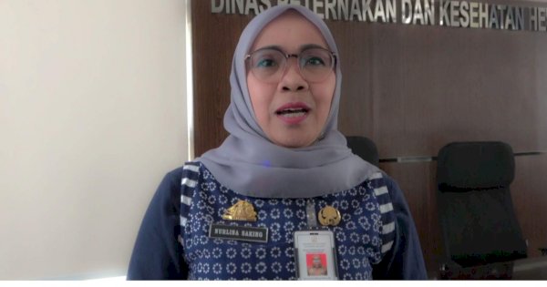 Kadisnakkeswan Sulsel: Bantuan Ternak Sudah Disalurkan