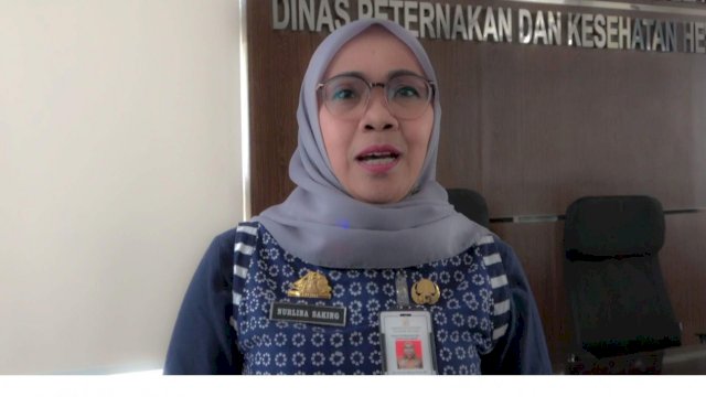 Kadisnakkeswan Sulsel, Nurlina Saking.