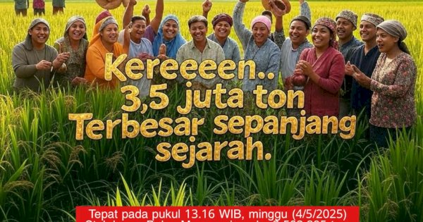 Amran Sulaiman Mentan, Serapan Beras Bulog Januari–Mei Tertinggi dalam 57 Tahun, Tanpa Impor