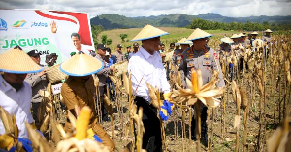 Mentan Amran Bawa Kabar Baik ke Petani Jagung di Indonesia