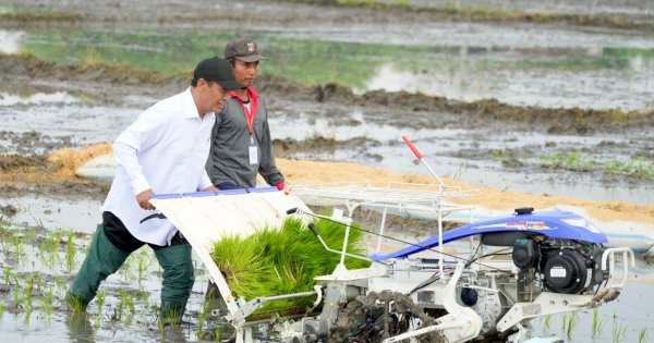 Ketika Wapres Gibran dan Mentan Amran Kompak Dorong Rice Transplanter di Ngawi