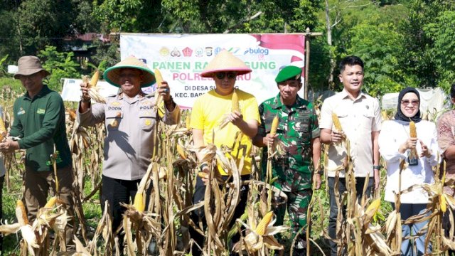 Wakil Bupati Barru dan Kapolres Barru saat memanen jagung secara simbolis di Dusun Siawung ||handover