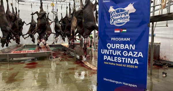 Bosowa Peduli Kirim Daging Kurban ke Gaza di Tengah Krisis Kemanusiaan
