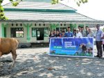 Huabao Indonesia Salurkan 17 Ekor Hewan Kurban ke Warga Lingkar Industri di Morowali