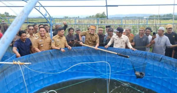 Jeneponto Panen Padi & Ikan, Ekonomi Desa Makin Tangguh