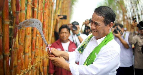 Mentan Amran Beberkan 6 Strategi Kunci Capai Swasembada Gula Nasional