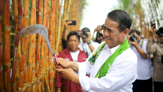 Mentan Amran Sulaiman. Dok. Ist