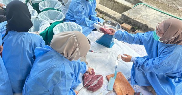 RSKD Gigi dan Mulut Sulsel Potong 8 Ekor Sapi Kurban di Idul Adha 1446 H