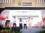 Targetkan Swasembada Gula Lebih Cepat, Mentan Amran Benahi Tata Kelola Tebu Nasional