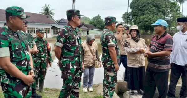 Swasembada Pangan, Satgas Kementan Turun ke Sawah di Enrekang