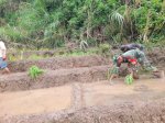 Babinsa Turun Sawah, Bantu Petani Tanam Padi