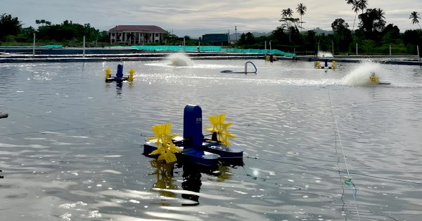 Aquarev Jembatani Petambak Kecil Wujudkan Akuakultur Ramah Lingkungan
