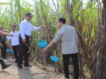 Wapres Gibran dan Mentan Amran Berikan Solusi untuk Petani Tebu, Target Swasembada Gula di 2026