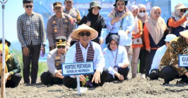 Mentan Amran Jadikan Majene Sulbar Sentra Bawang Nasional