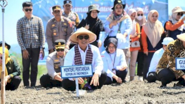 Mentan Amran Canangkan Majene Jadi "Kabupaten Bawang" di Sulawesi Barat, Pasok Kawasan Timur Indonesia ||handover 