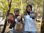 Lindungi Mangrove dari Jeratan Sampah Plastik, Pantai Timur Surabaya Butuh Pagar Laut