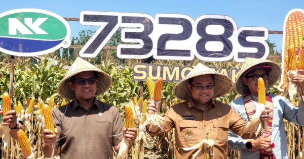 DM: Gowa Target Produksi Komoditas Padi dan Jagung yang Terbaik di Sulsel