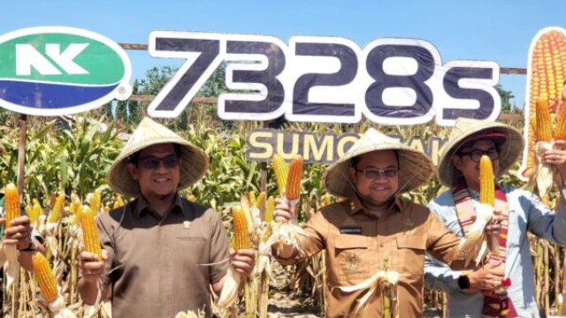 Wakil Bupati Gowa Darmawansyah Muin bersama petani saat panen raya jagung di Desa Majapai, Gowa ||handover 