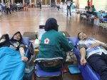 Semen Tonasa Gelar Donor Darah Rutin, Hasilkan 120 Kantong