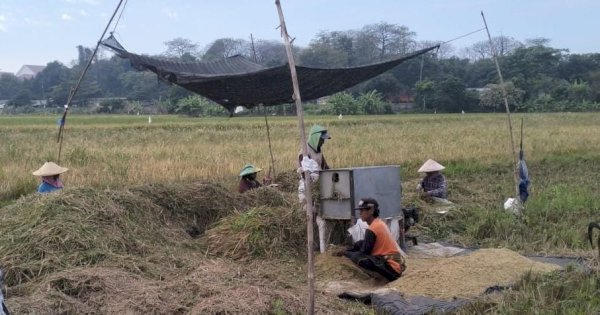 Daya Beli Petani Meningkat di Agustus 2025, BPS Beberkan Buktinya!