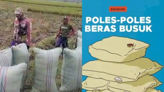 Menggugat Tempo, Biro Hukum: Upaya Kementan Jaga Kemerdekaan Pers yang Profesional