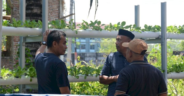 Program Terpadu Ekonomi Hijau Bisa Dongkrak Urban Farming dan UMKM